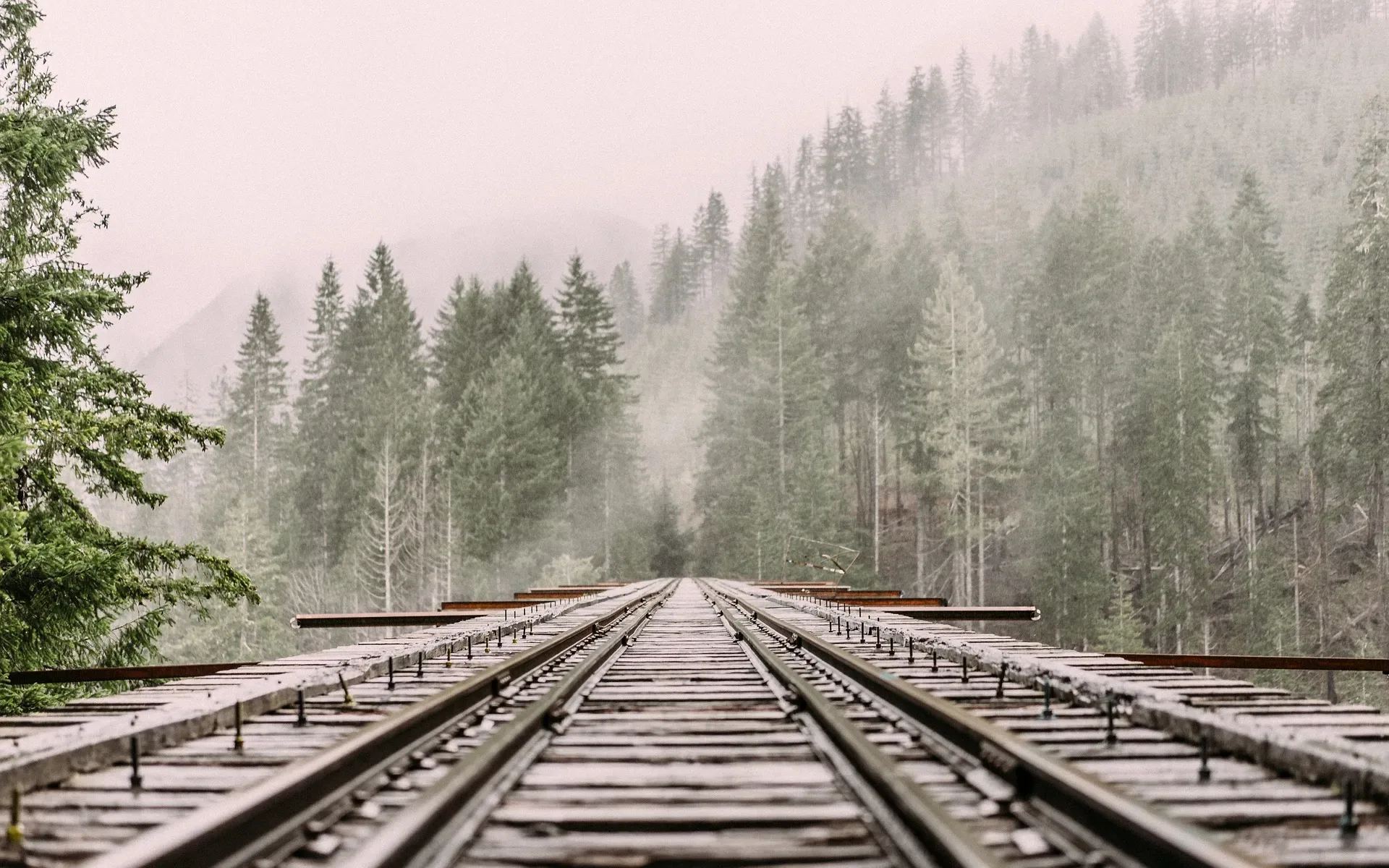 Buffalo Cattaraugus & Jamestown Scenic Railway