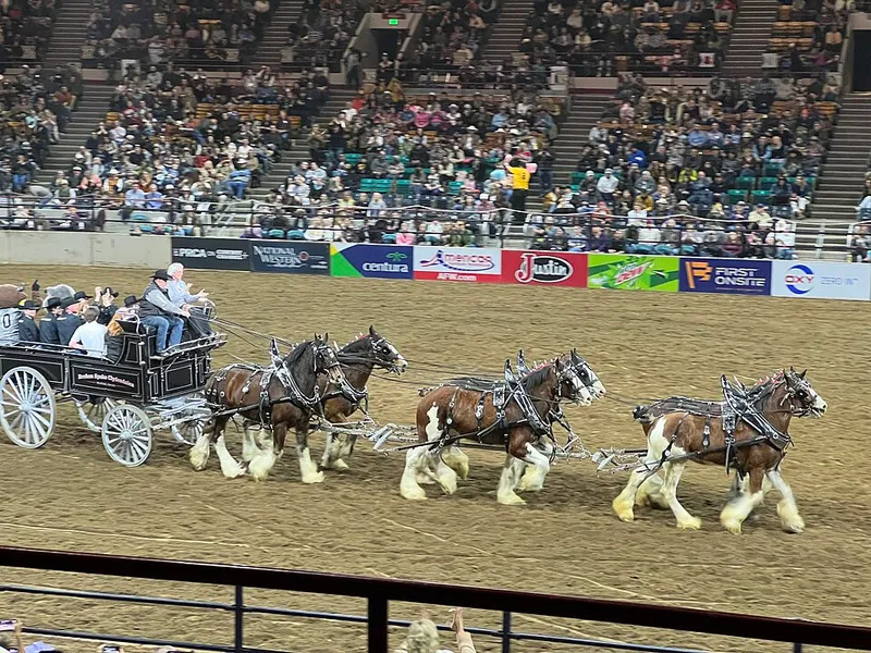 National Western Stock Show