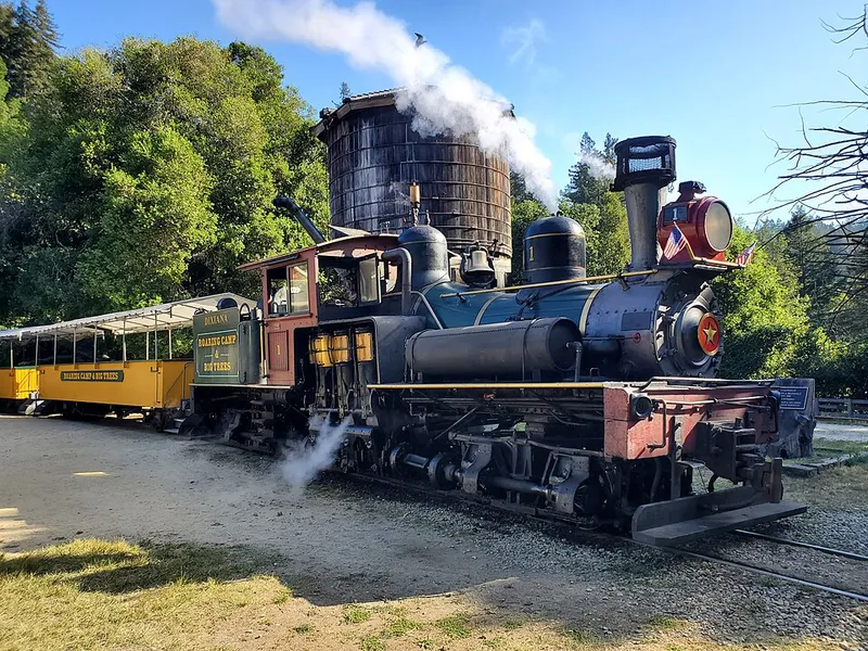 Roaring Camp