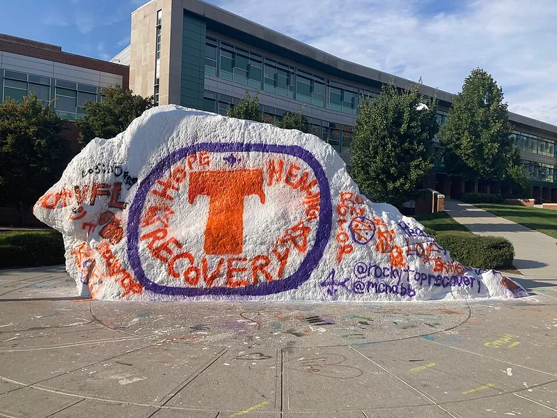 The Rock