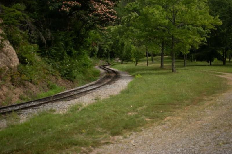 Dollywood Express